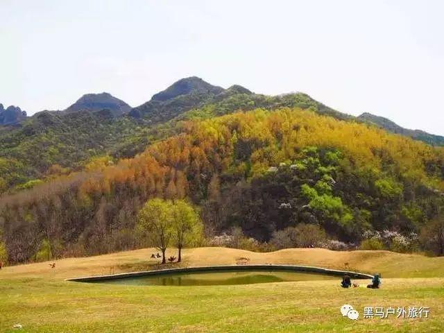A股上市公司回购潮持续 今年以来已耗资逾300亿元
